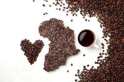 Ethiopia Yirgacheffe Coffee 101