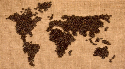 Direct Trade and Micro-Lot Coffees