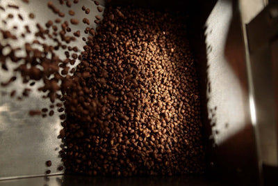 Single Origin Coffee | What is Single Origin Coffee?
