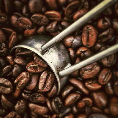 Shop For Top-Rated Single Origin Coffee Today!
